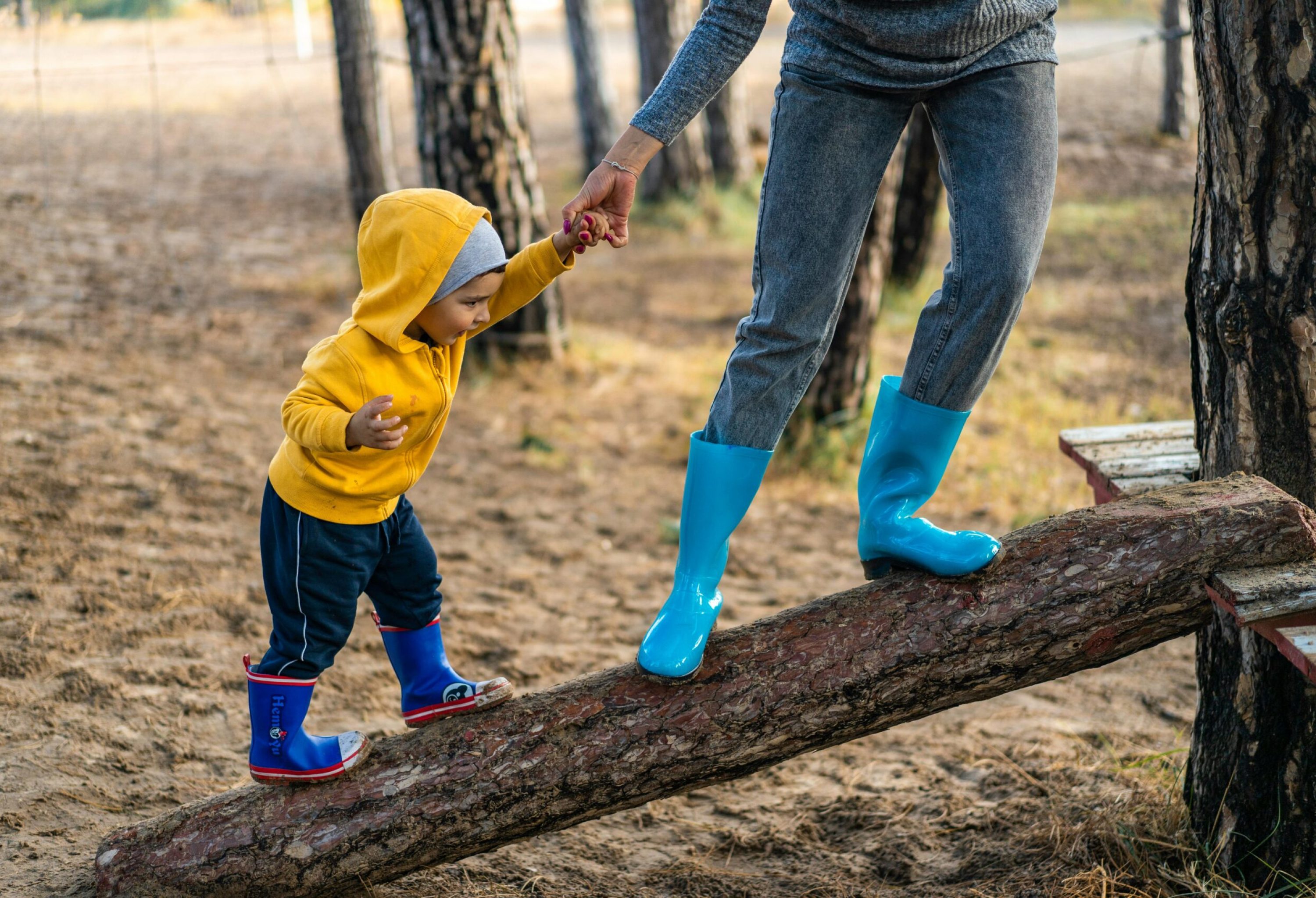 pexels-freestockpro-3036405